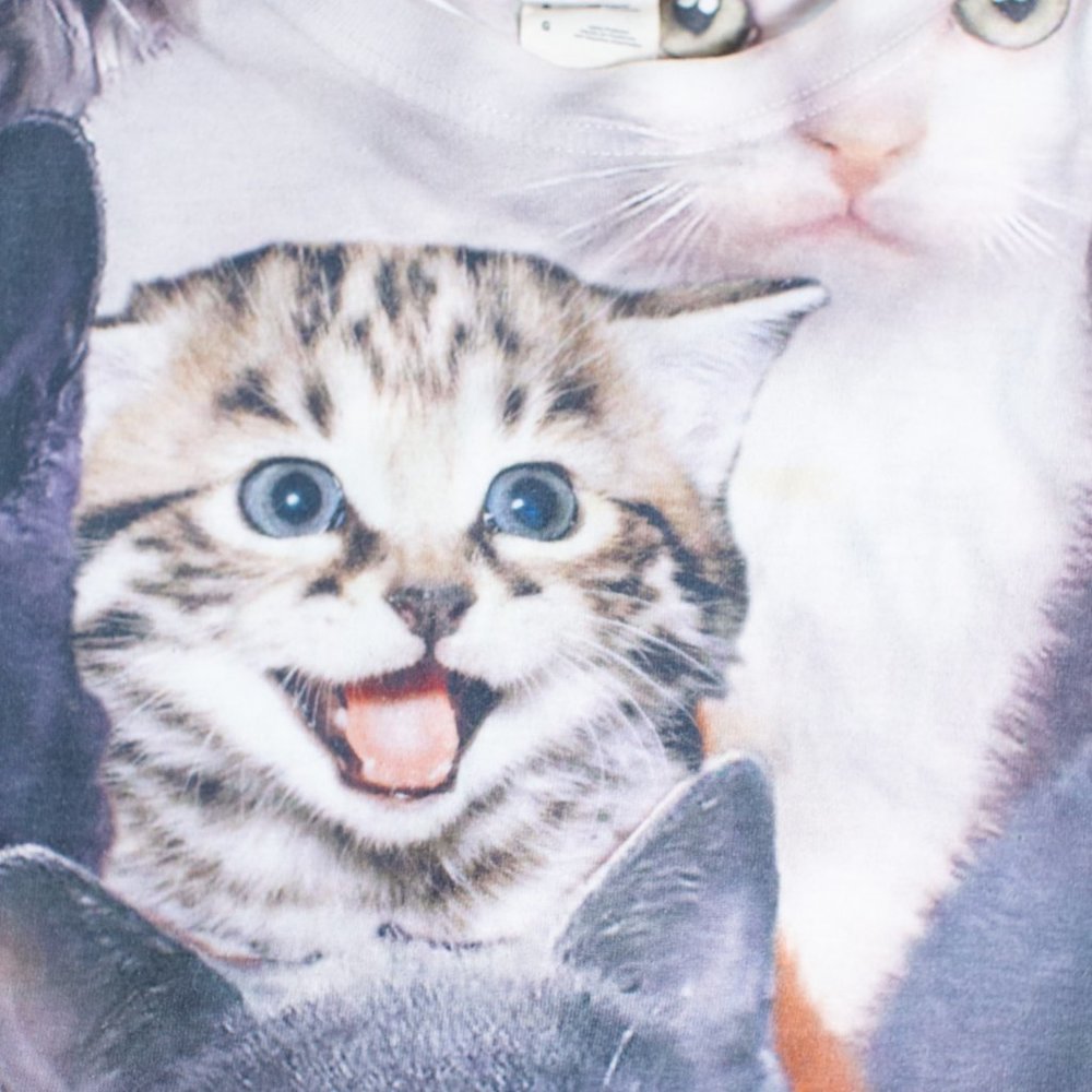 Funny Cat Kitten T-shirt Size L - Picture 5 of 9